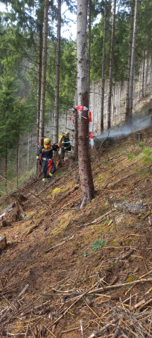 KHD Waldbrand Übung Breitenau 11.04.2026